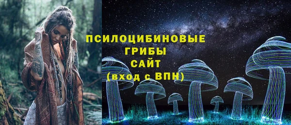 экстази Переславль-Залесский