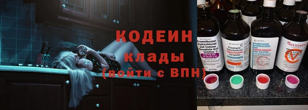 гашик Пересвет