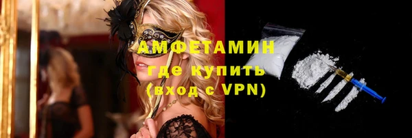 шишки Щигры