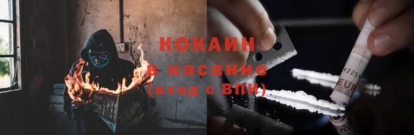 гашик Пересвет