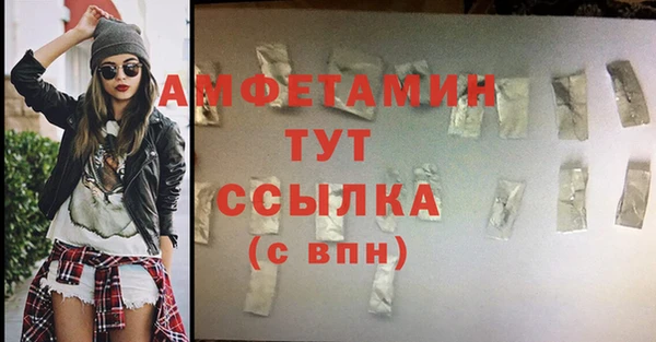 гашик Пересвет