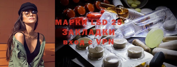 PSILOCYBIN Осинники