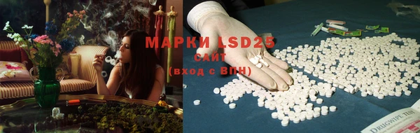 PSILOCYBIN Осинники