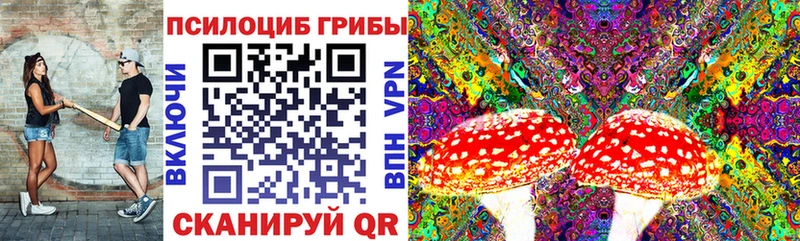 Галлюциногенные грибы Cubensis  купить   Отрадная 